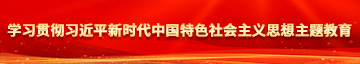 国产操老骚逼学习贯彻习近平新时代中国特色社会主义思想主题教育